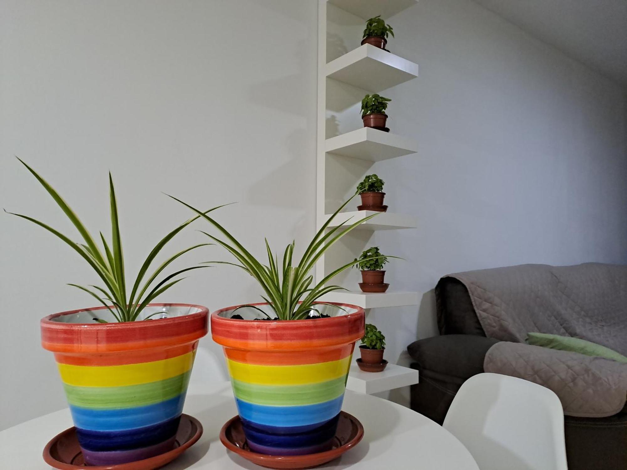 Апартаменты Apartamento Toyo, Parque Natural Cabo De Gata Альмерия Экстерьер фото